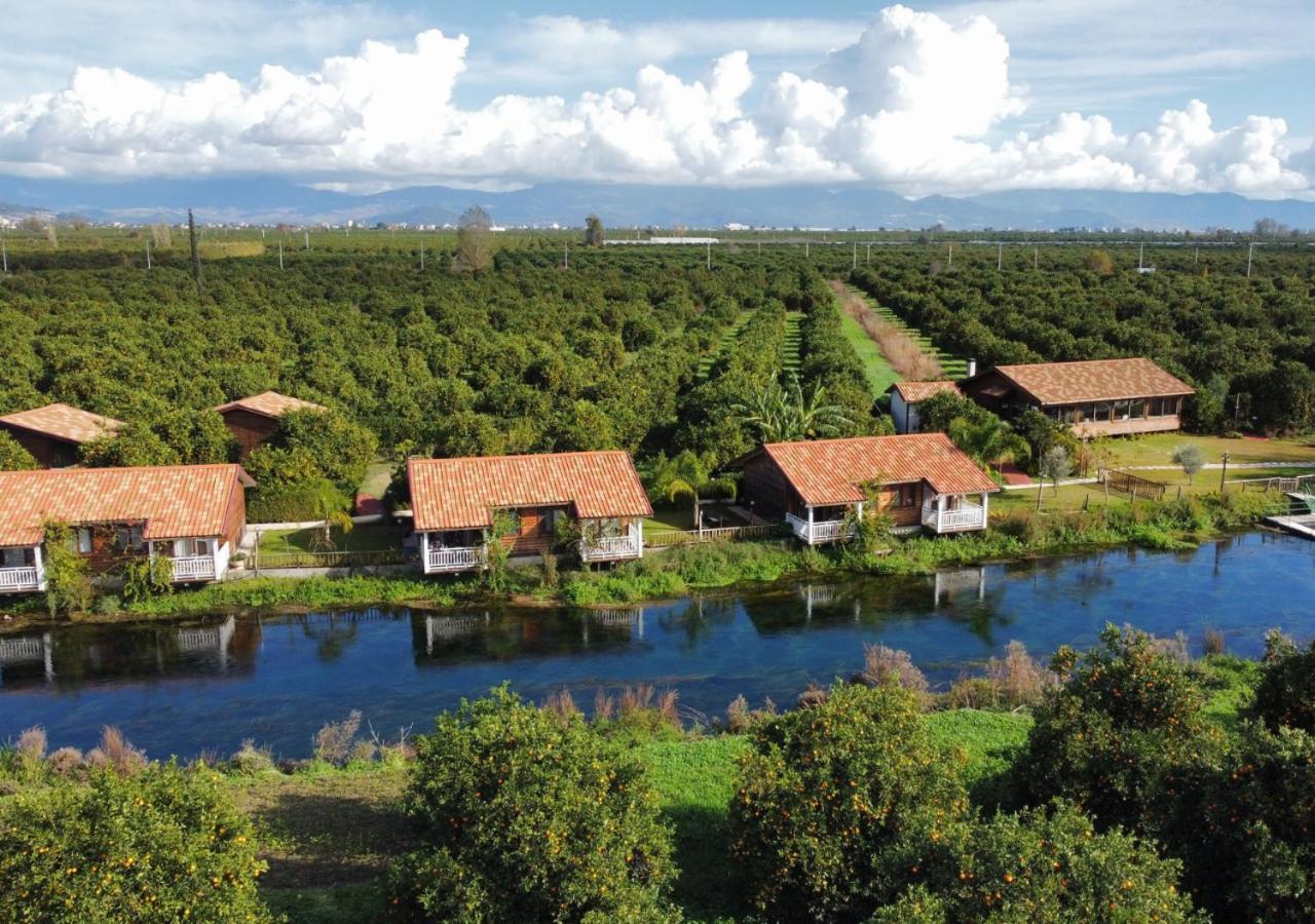 Turkuazkoey Guest House Finike Bagian luar foto